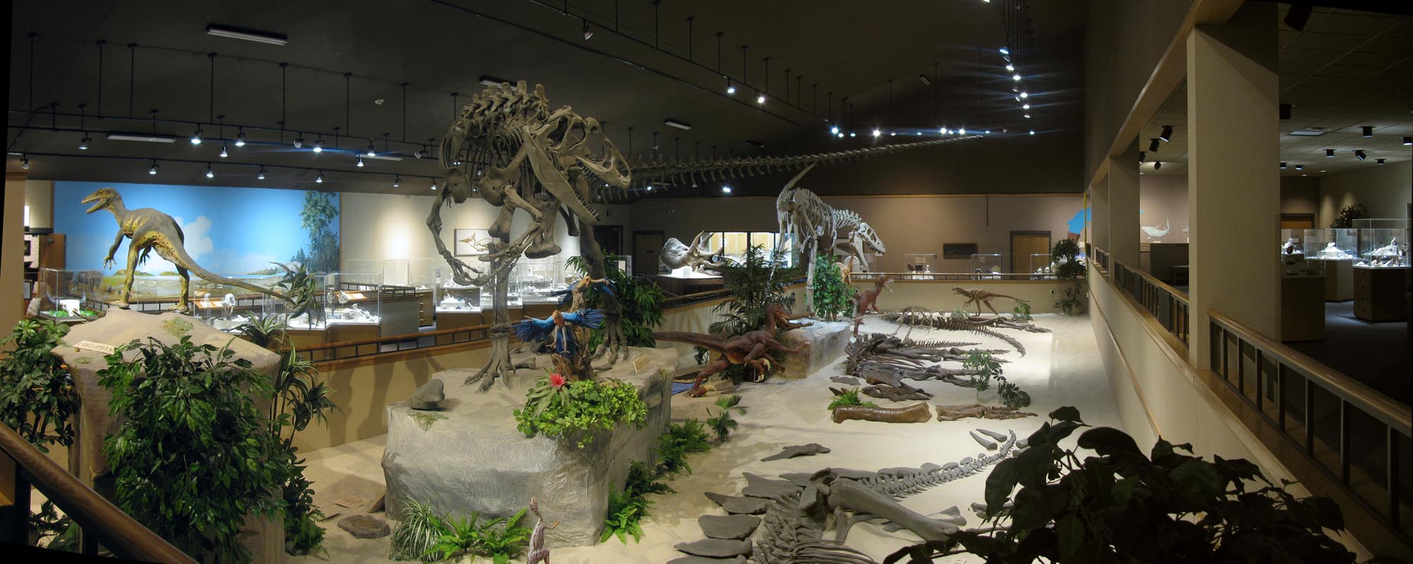 Badlands Dinosaur Museum BradyHomesND