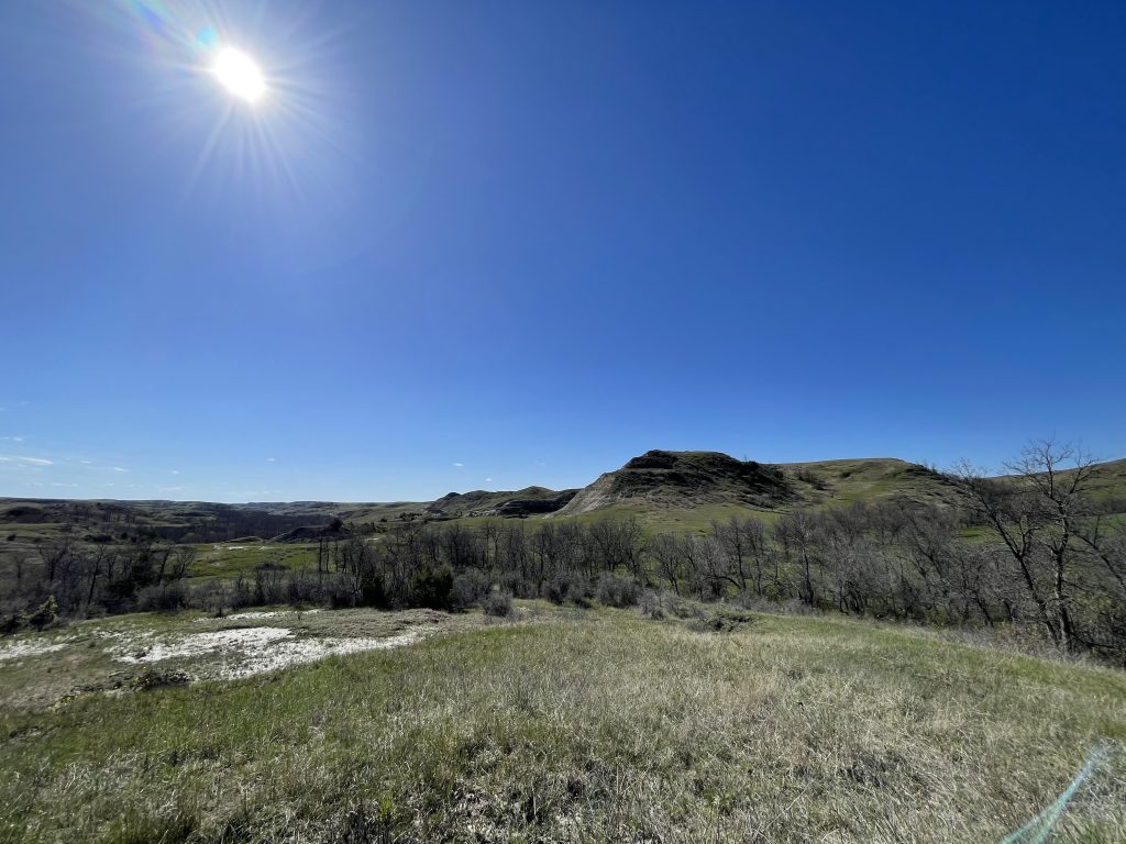 Sunny Badlands in Spring